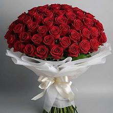 Букет 101 Красная роза Блэк Мэджик #REPLACE_PRED# Тим