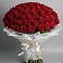 Букет 101 Красная роза Блэк Мэджик в Тим
