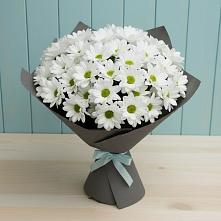 Букет цветов из:  Хризантемы #REPLACE_PRED# Тим