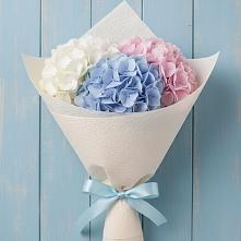 Букет цветов из:  Гортензия в Тим
